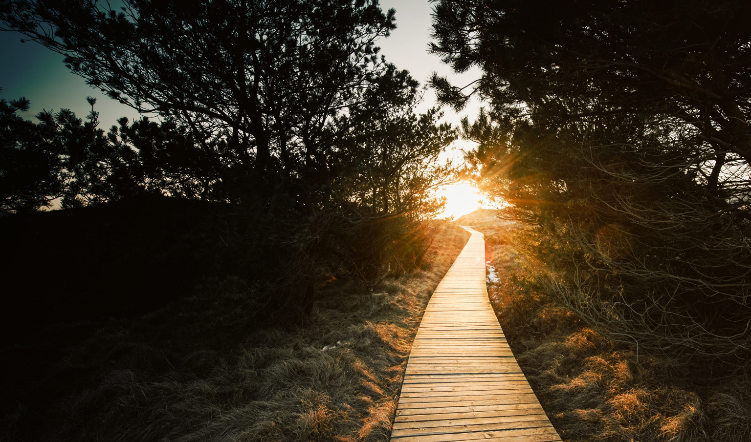 Share Market Volatility And How It Could Affect Your Super Bt