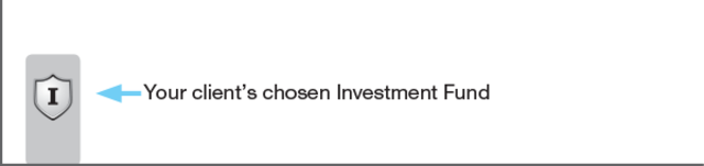 select an investment fund